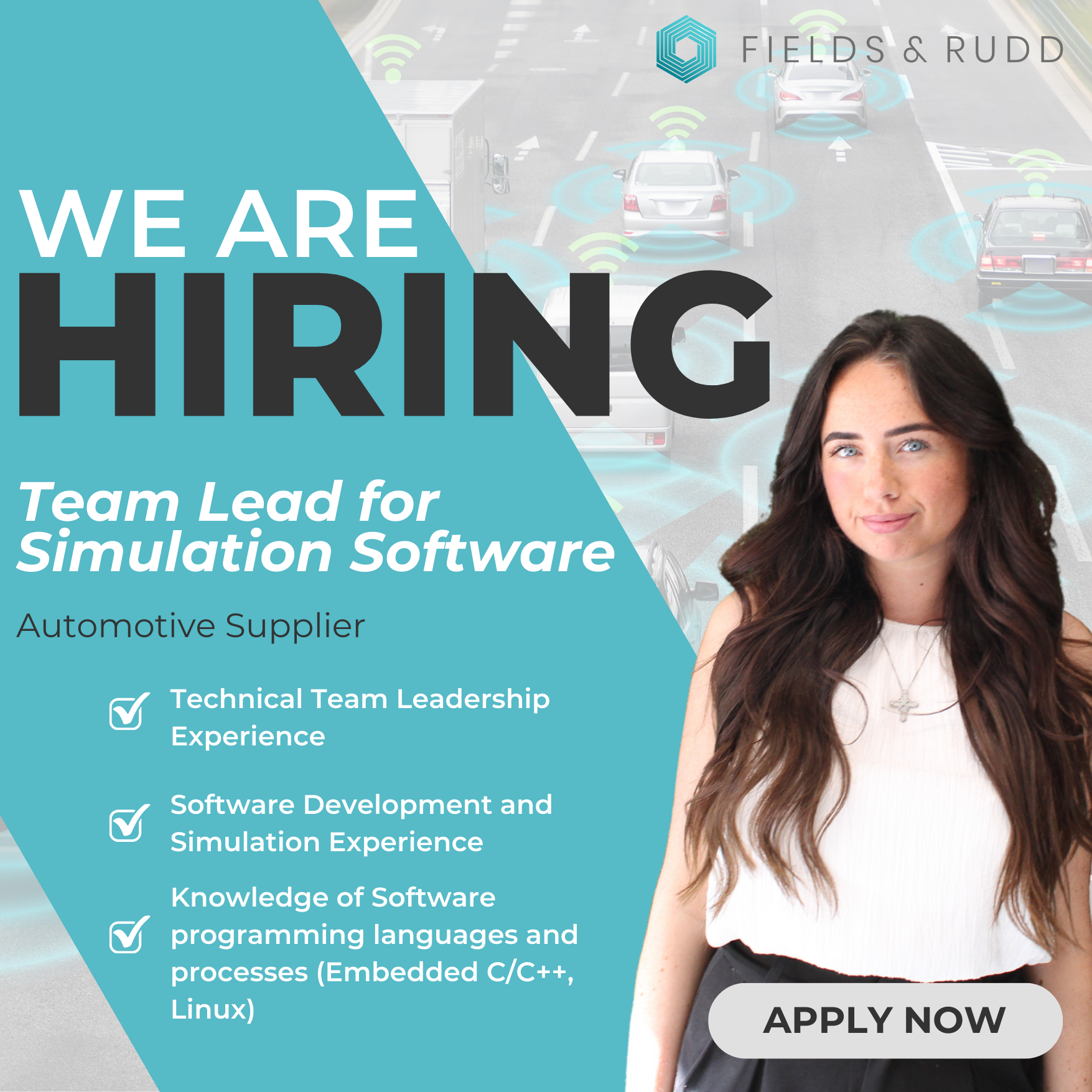 Team Lead for Simulation Software