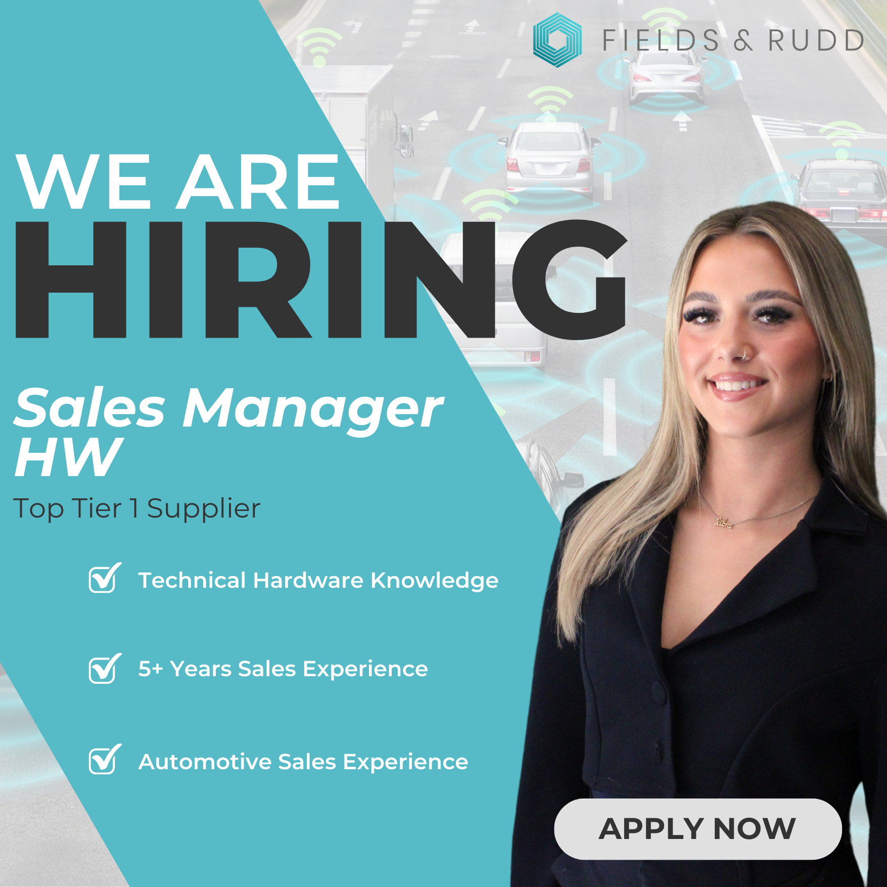 Sales Manager Hardware