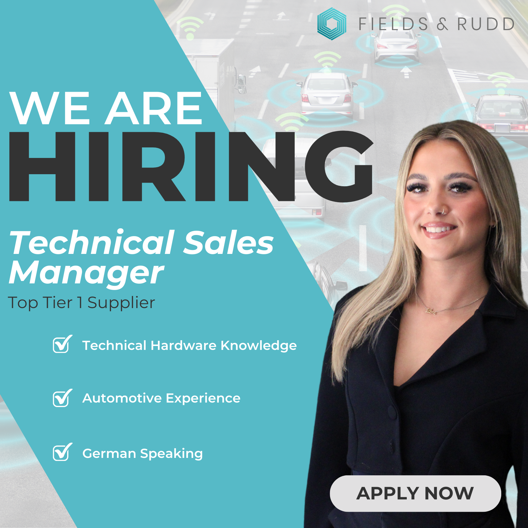 Technical Sales Manager